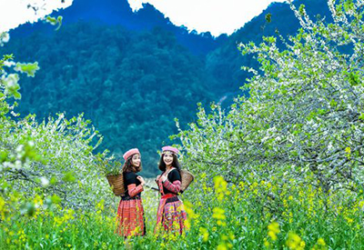 Du lịch Tết Âm lịch Hà Nội - Mộc Châu - Sơn La - Điện Biên - Sa Pa - Phú Thọ - Đền Hùng từ Sài Gòn 2022