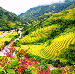 Tour Sapa 1 Ngày | Trải Nghiệm Bản Tả Phìn Và Tắm Lá Thuốc Dao Đỏ