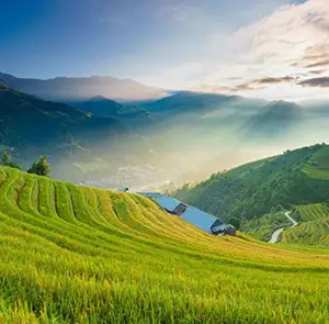 TOUR MIỀN BẮC MÙA XUÂN 3N2Đ | HÀ NỘI - ĐIỆN BIÊN - HÀ NỘI