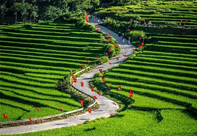 TOUR MIỀN BẮC MÙA ĐÔNG 2N1D | MAI CHÂU - BẢN LÁC - PÙ LUÔNG - GUỒNG NƯỚC - CHỢ PHIÊN PHỐ ĐOÀN - SUỐI CÁ THẦN - THÁC MÂY