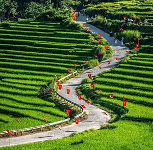 TOUR MIỀN BẮC MÙA ĐÔNG 2N1D | MAI CHÂU - BẢN LÁC - PÙ LUÔNG - GUỒNG NƯỚC - CHỢ PHIÊN PHỐ ĐOÀN - SUỐI CÁ THẦN - THÁC MÂY