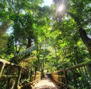 Tour Ninh Bình Mùa Thu 2N1Đ | Hoa Lư - Tam Cốc - Hang Múa - Vườn Quốc Gia Cúc Phương