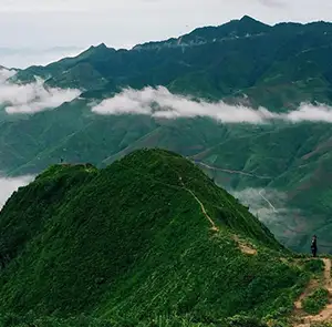 TOUR MIỀN BẮC MÙA ĐÔNG 2N1Đ | SĂN MÂY TÀ XÙA - THẢO NGUYÊN - ĐỈNH GIÓ - MỎM CÁ HEO - SỐNG LƯNG KHỦNG LONG