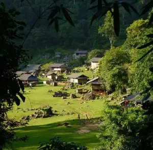 TOUR MIỀN BẮC MÙA ĐÔNG 2N1Đ | ĐỒI CHÈ - VƯỜN HOA TRÁI MỘC CHÂU - CHỢ ĐÊM MỘC CHÂU - LÀNG NGUYÊN THUỶ HANG TÁU - CẦU KÍNH BẠCH LONG