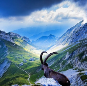 Du lịch Châu Âu Hè - Pháp - Thụy Sĩ ( Núi Titlis) - Ý - Vatican từ Hà Nội 2023