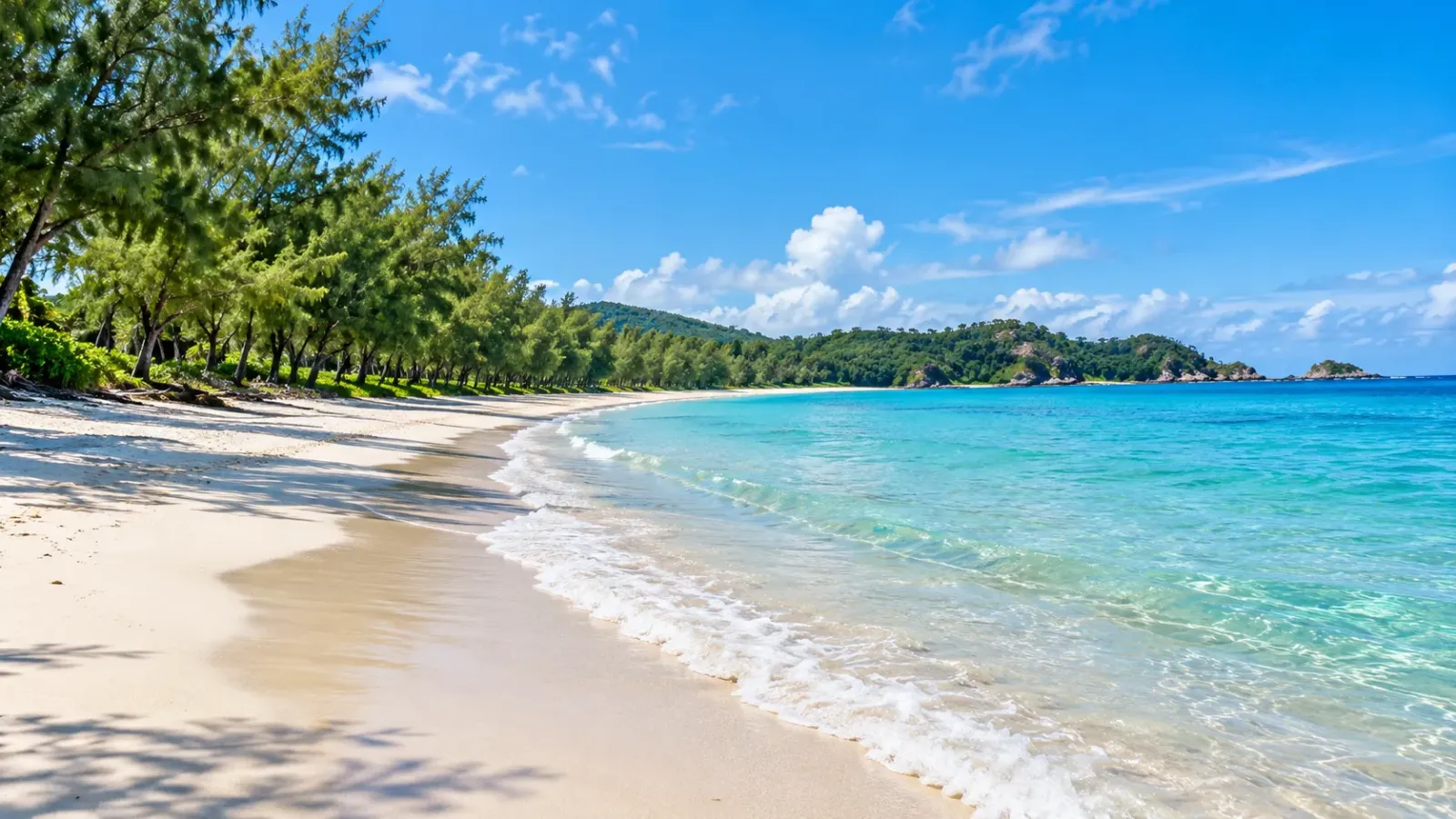Bãi biển Hồng Vàn trên đảo Cô Tô với bờ cát sáng màu và hàng cây ven biển