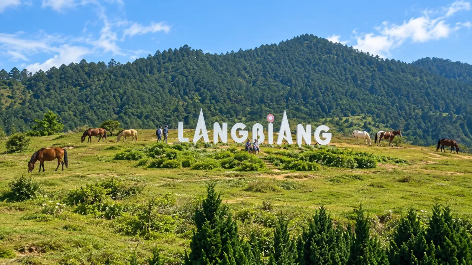 Biển tên Langbiang trên bãi cỏ rộng với những chú ngựa và cảnh núi phía xa