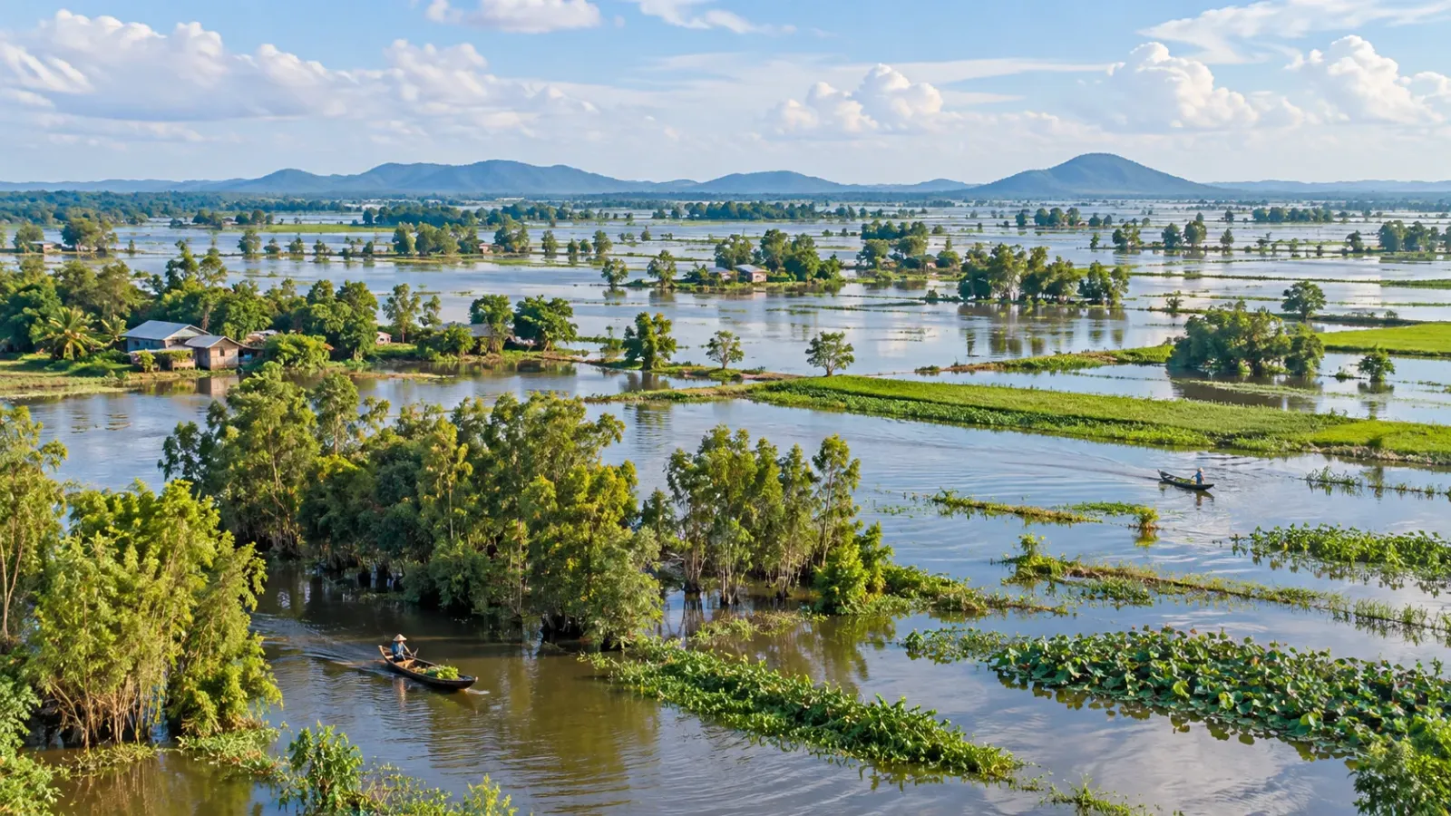 Cảnh mùa nước nổi tại An Giang