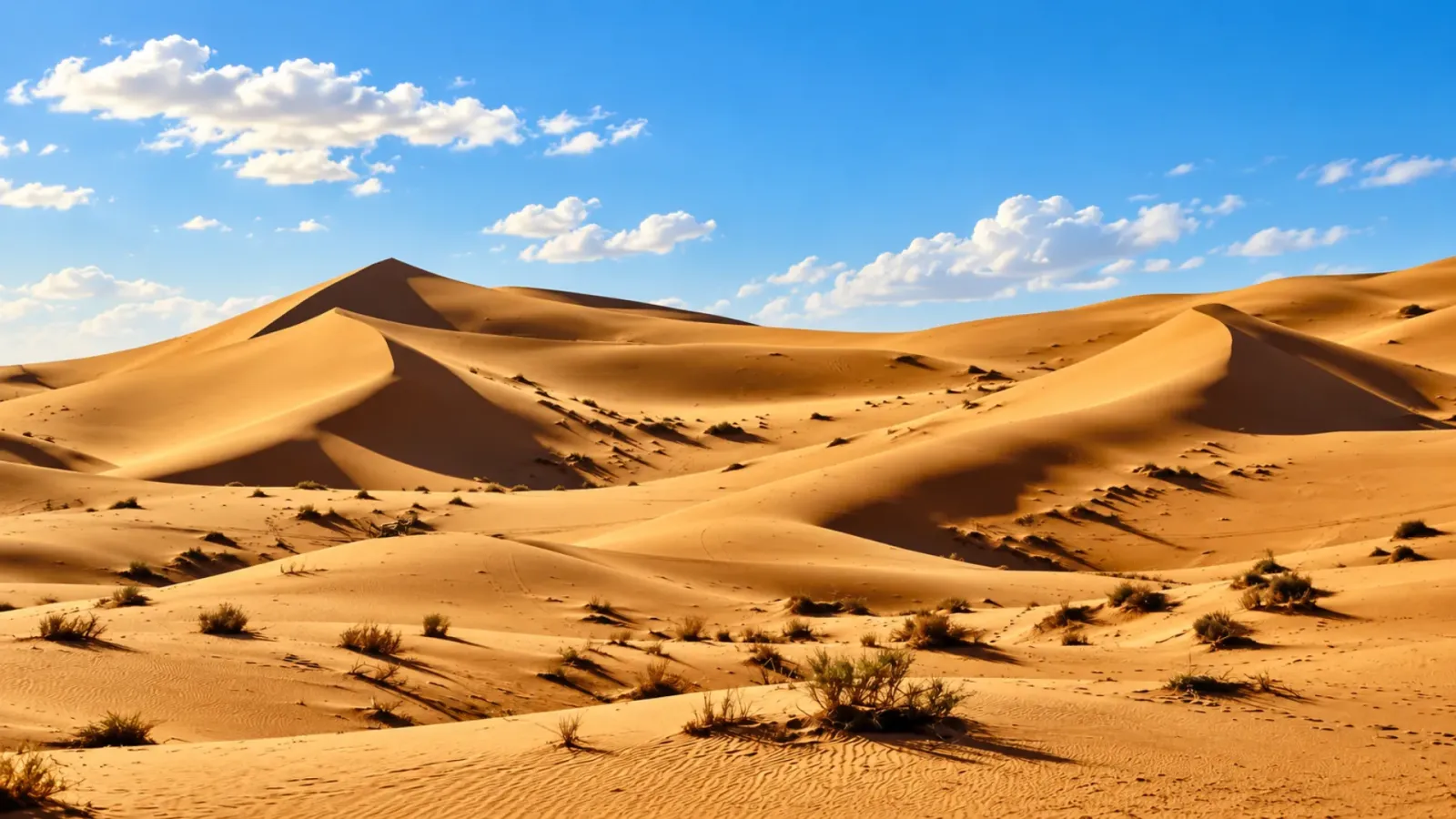Cảnh quan khu vực Merzouga gần những cồn cát Sahara ở Maroc
