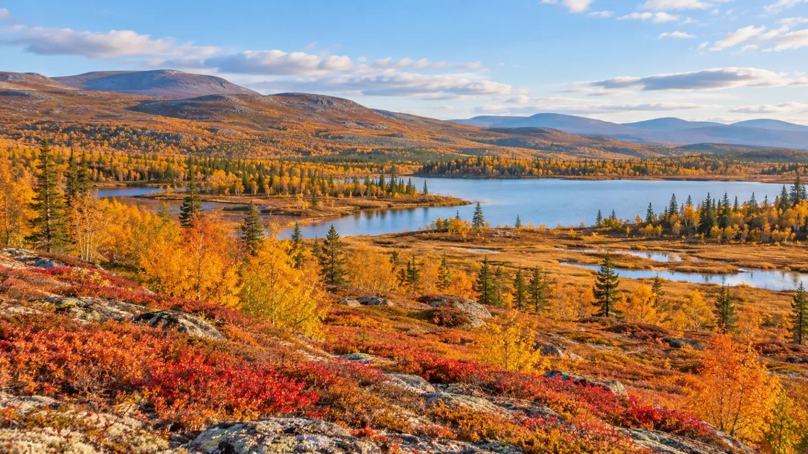 Cảnh quan mùa ruska tại Lapland Phần Lan với những mảng cây bụi và rừng chuyển màu vàng đỏ