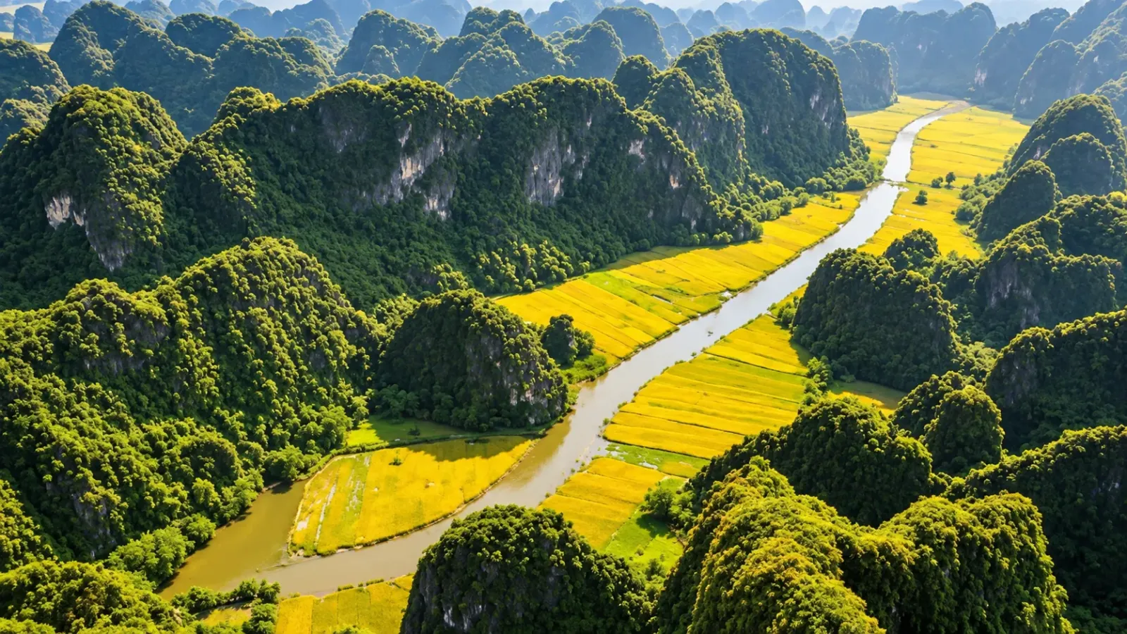 Cảnh quan núi đá vôi và đồng ruộng trong khu vực du lịch Tam Cốc Ninh Bình