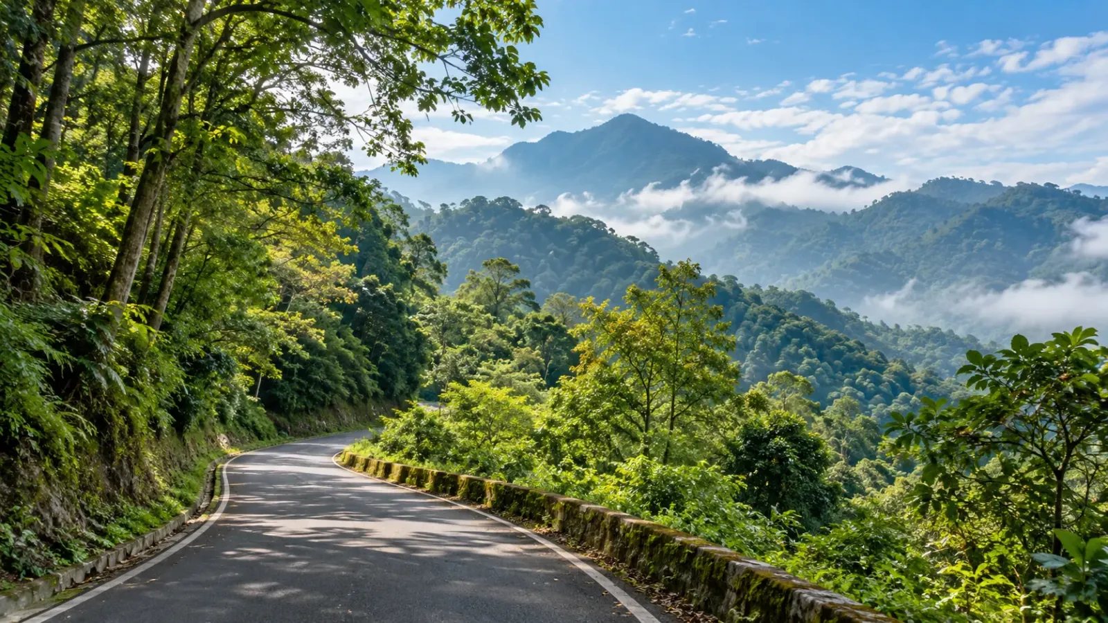 Cảnh quan núi rừng và những tuyến đường giữa cây xanh tại Vườn quốc gia Ba Vì Hà Nội.
