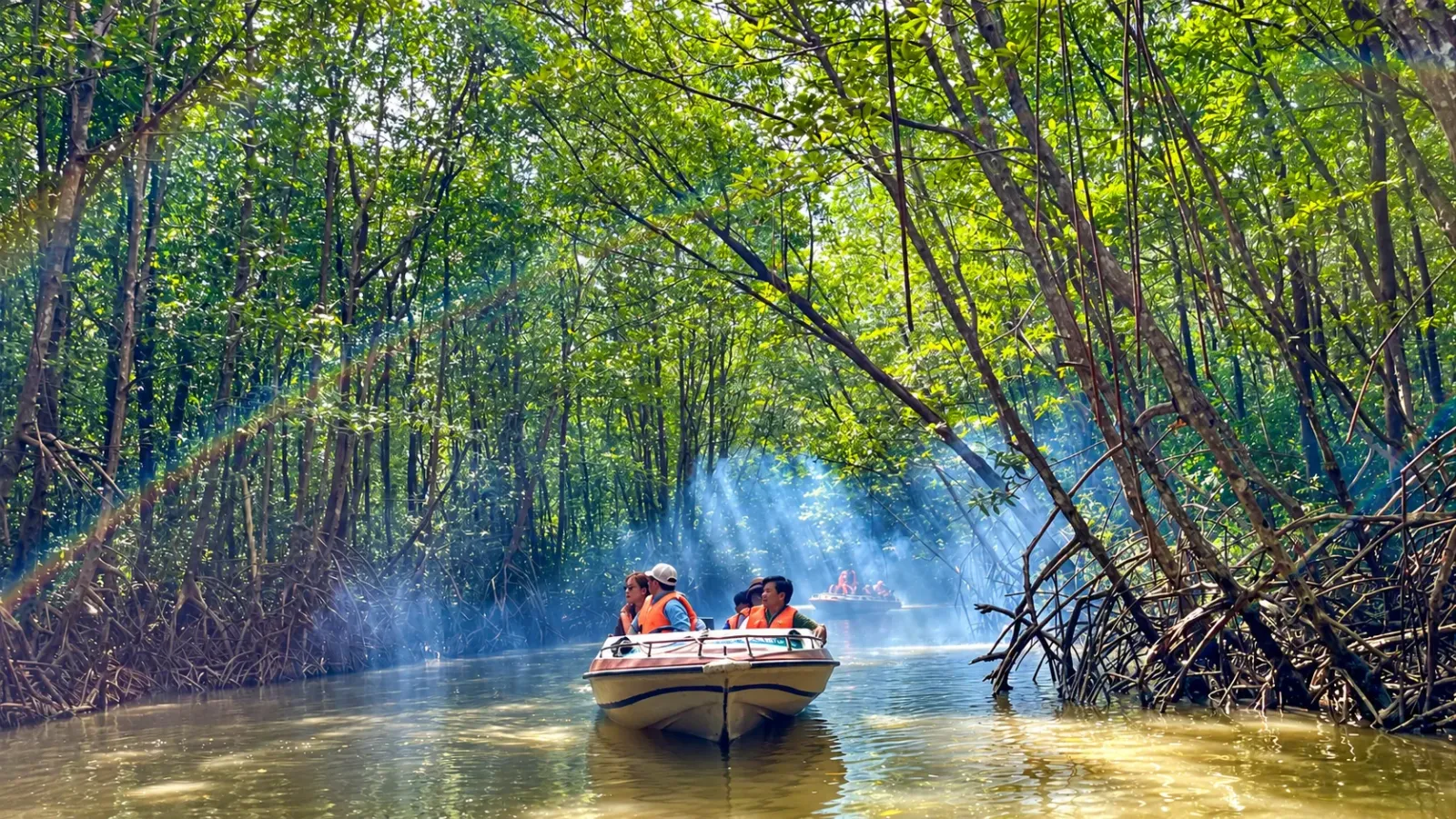 Cano đưa du khách tham quan rừng ngập mặn ở Đất Mũi Cà Mau