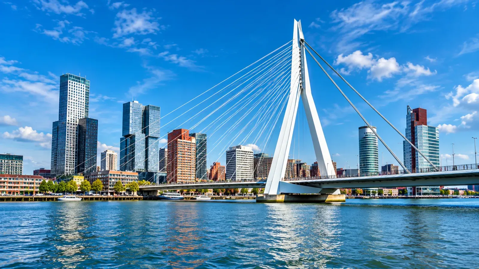 Cầu Erasmus bắc qua sông Nieuwe Maas với đường chân trời thành phố Rotterdam Hà Lan
