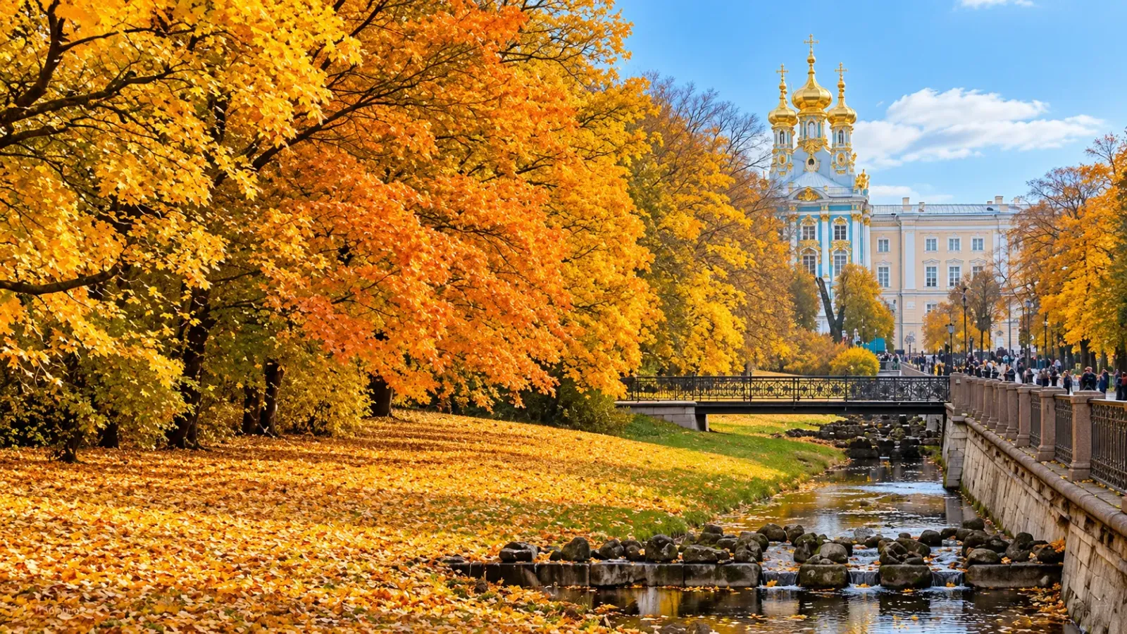 Hàng cây lá vàng trong công viên ở Saint Petersburg vào mùa thu