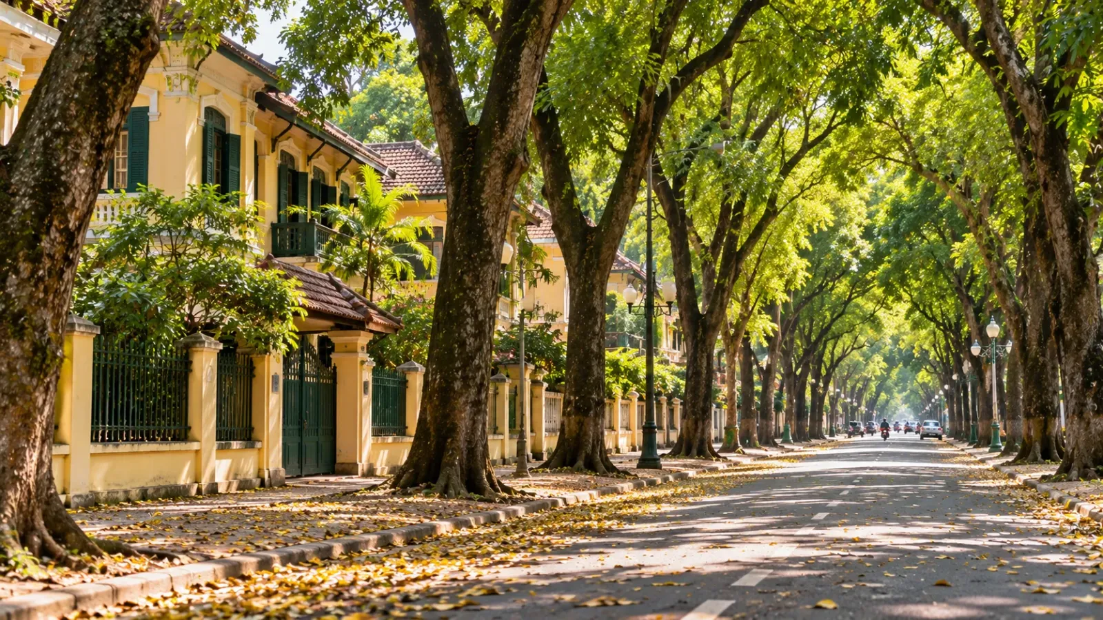 Hàng cây sấu xanh và kiến trúc đường phố trên phố Phan Đình Phùng Hà Nội.