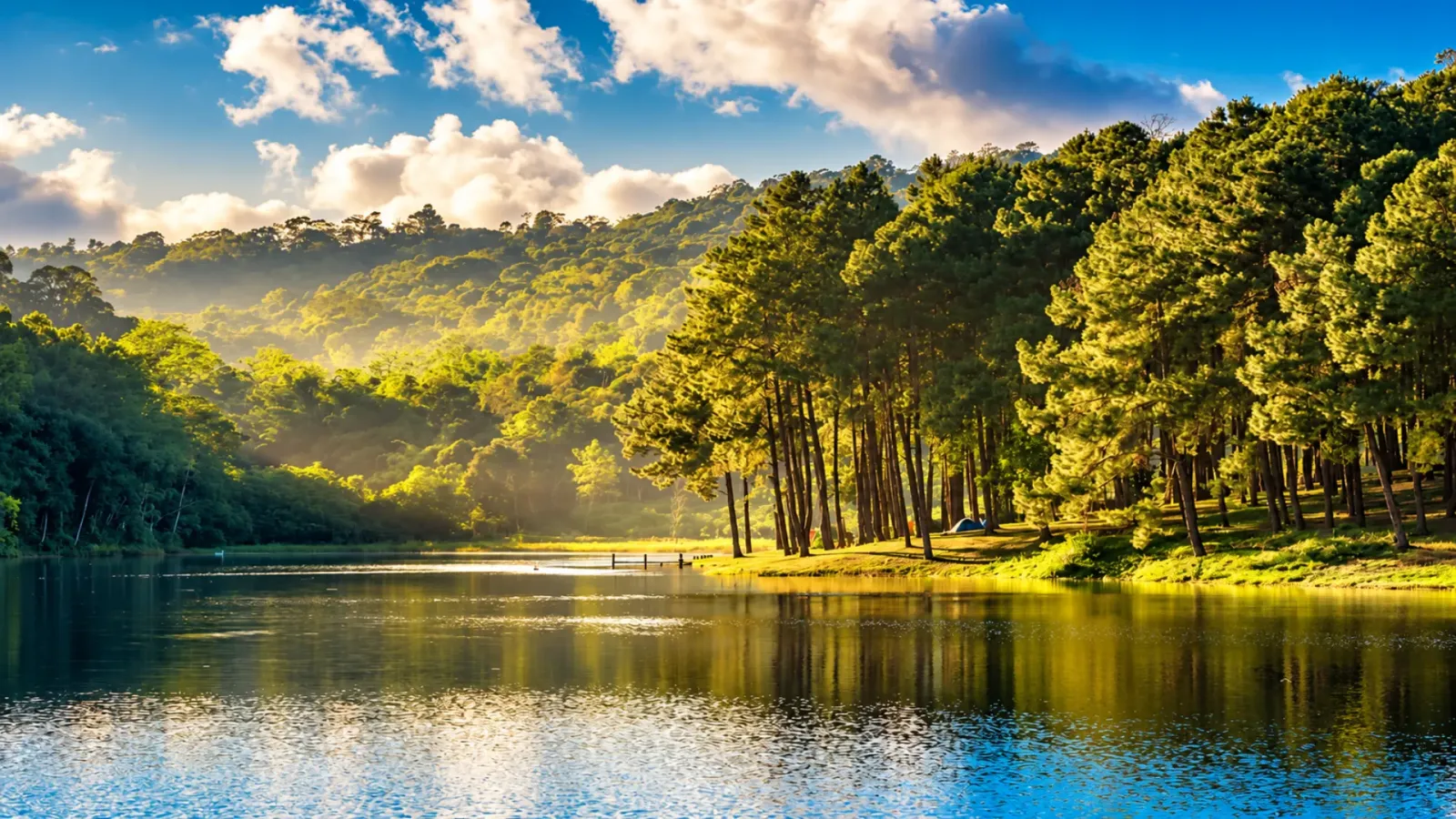 Hồ Pang Ung được bao quanh bởi rừng thông ở tỉnh Mae Hong Son, Thái Lan