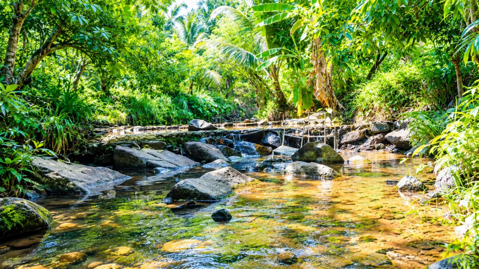 Không gian thiên nhiên của suối Vàng