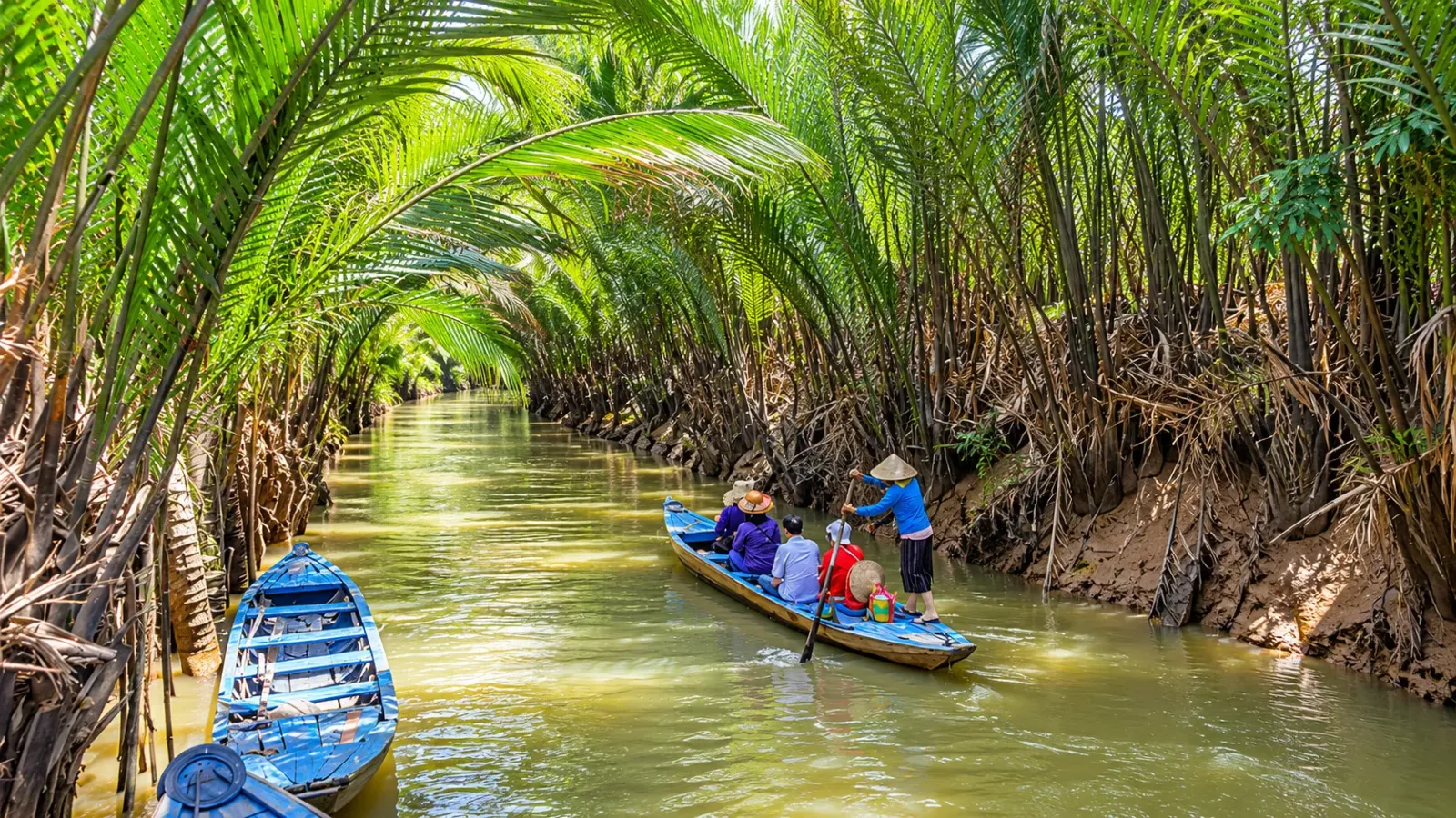 Khung cảnh miệt vườn sông nước với hàng dừa và kênh rạch tại vùng Bến Tre