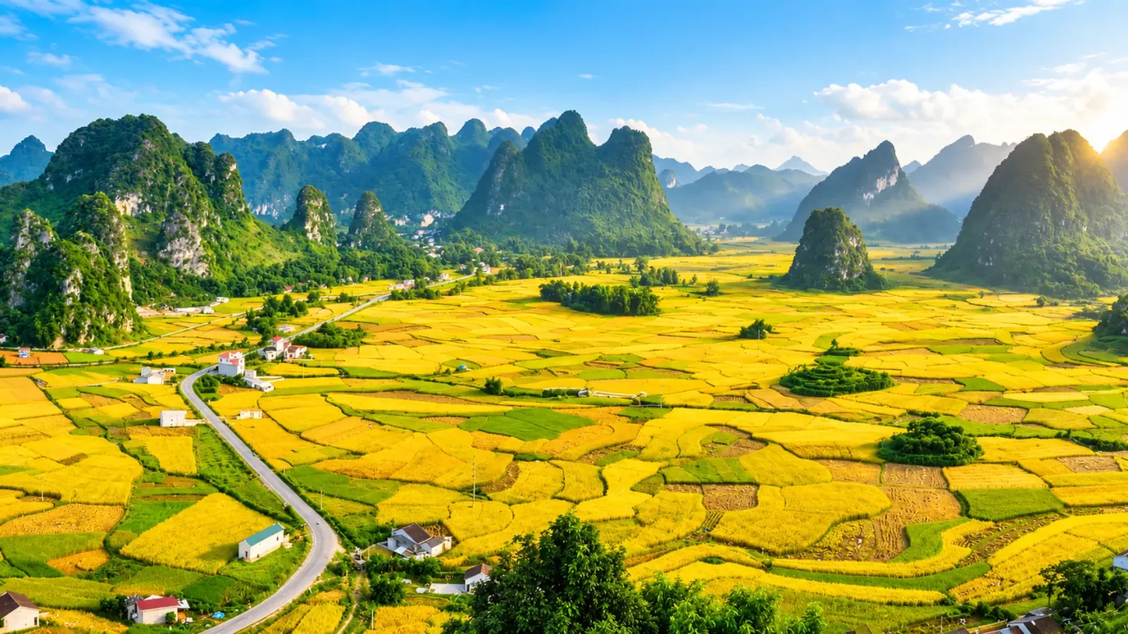 mua thu cùng đồng lúa ở Cao Bằng