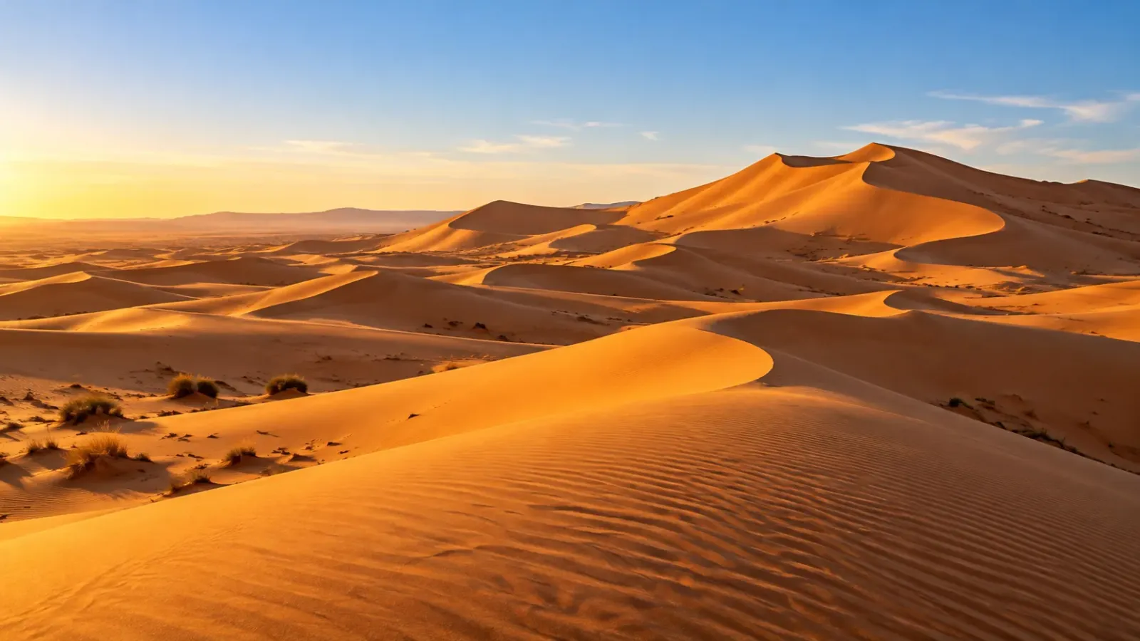 Những cồn cát vàng trải dài tại khu vực Erg Chebbi gần Merzouga Maroc