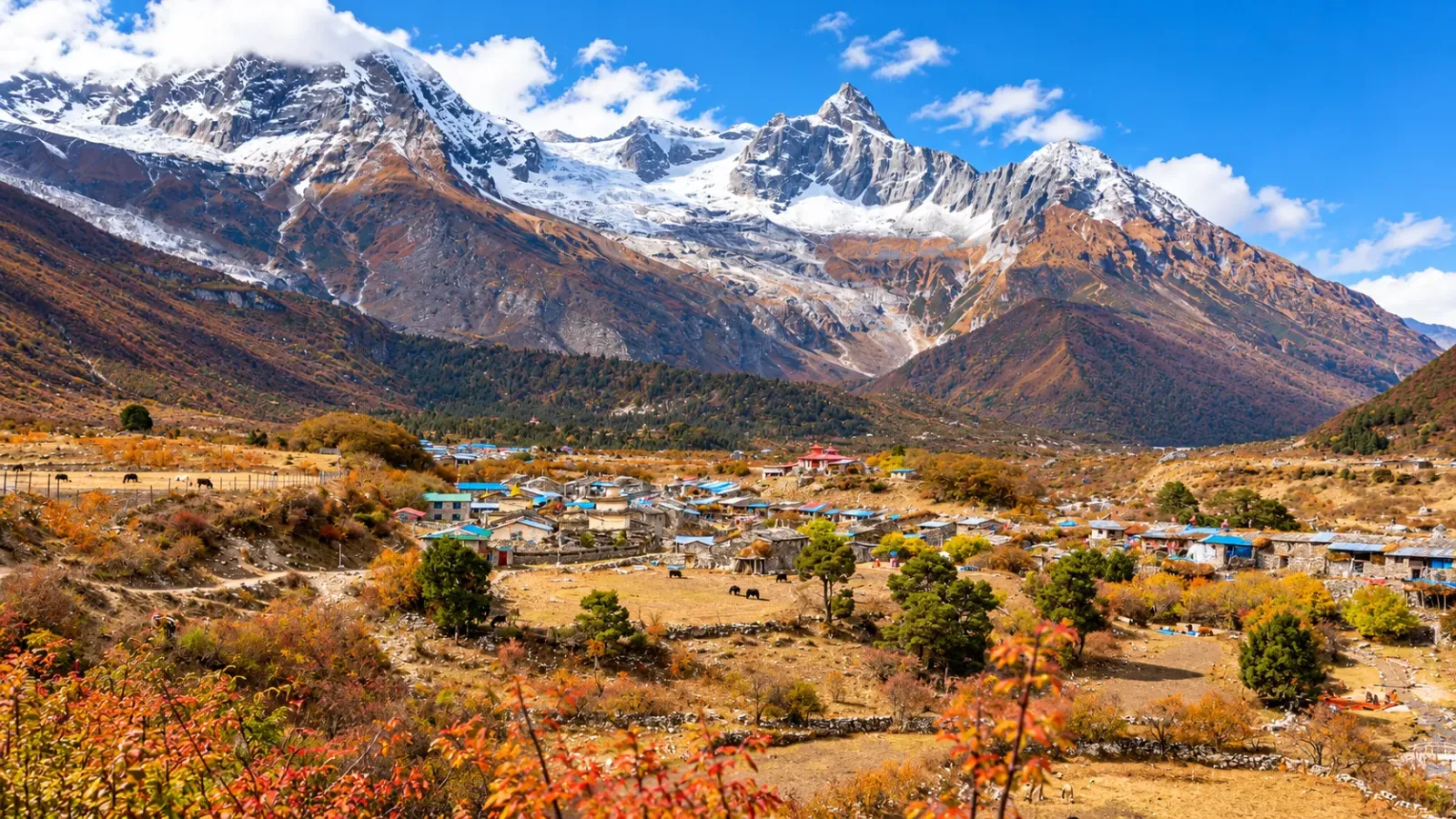 Những ngôi nhà truyền thống dưới chân dãy núi tuyết Himalaya tại Nepal