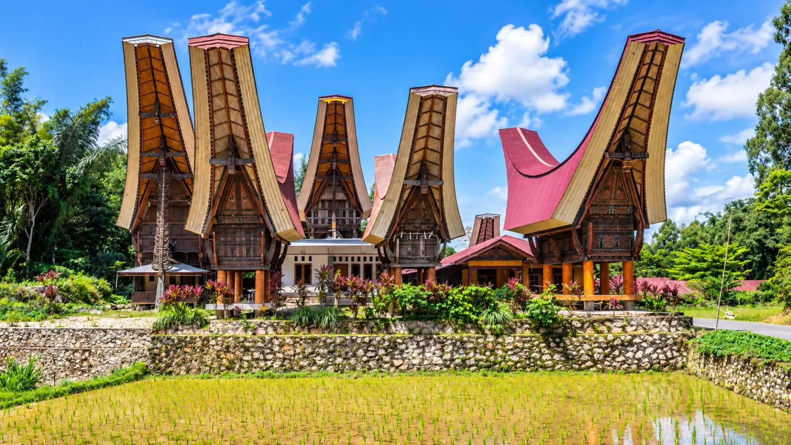 Những ngôi nhà truyền thống Tongkonan với mái cong đặc trưng tại Tana Toraja Sulawesi Indonesia