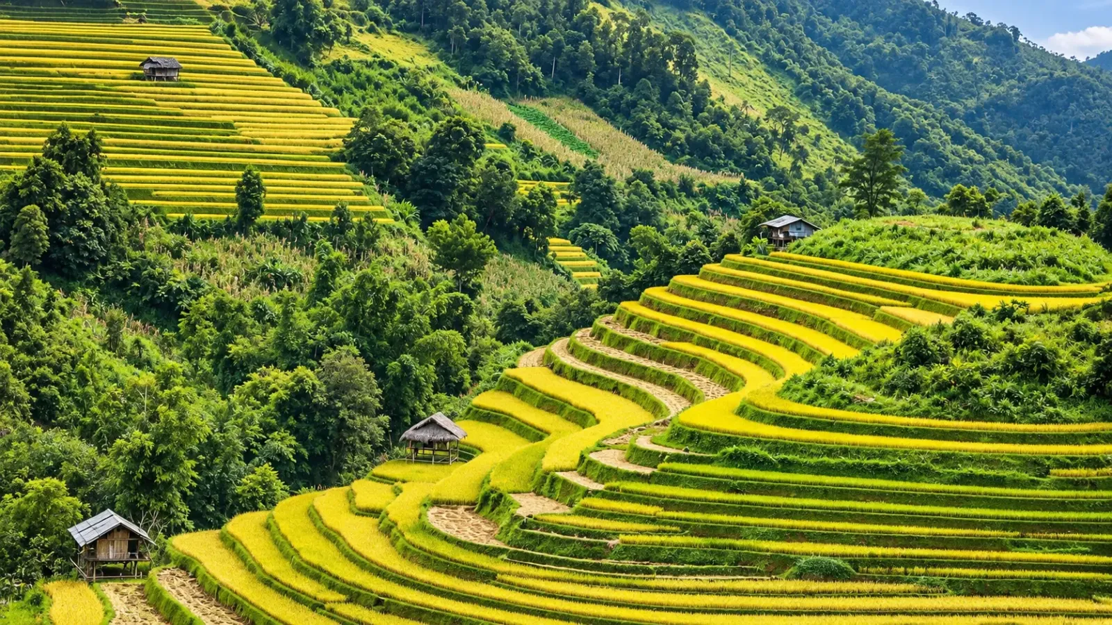 Phong cảnh núi rừng Tây Bắc trong hành trình du lịch tự túc