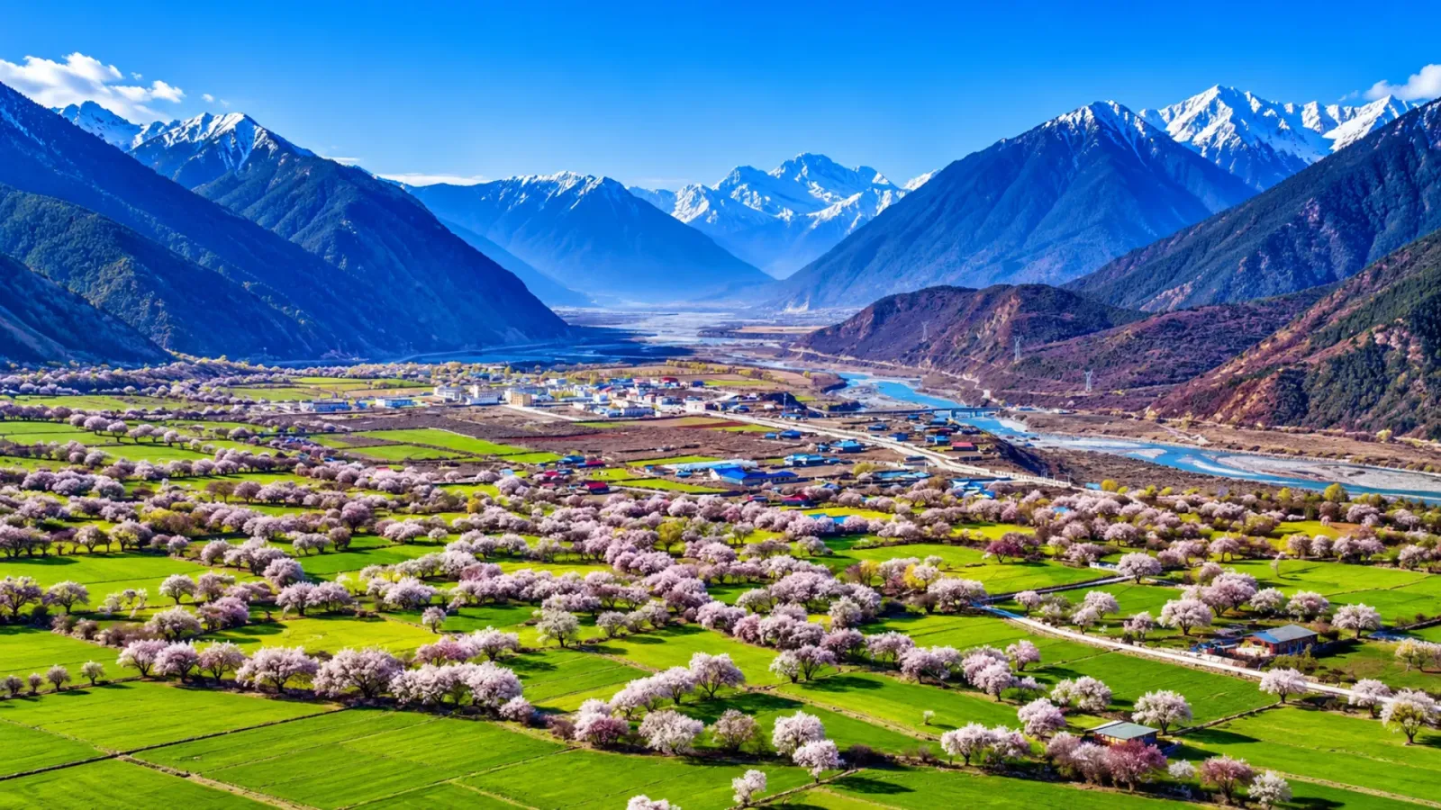 Phong cảnh Tây Tạng với núi cao và không gian cao nguyên trong mùa xuân hè