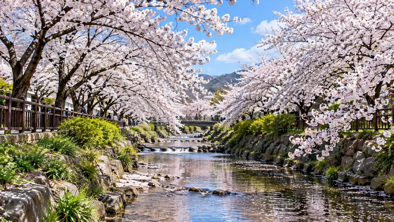 Suối Yeojwacheon, Jinhae