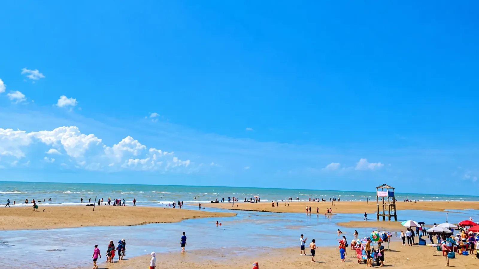 Toàn cảnh bãi biển Cồn Bửng với bãi bồi ven biển tại Thạnh Phú