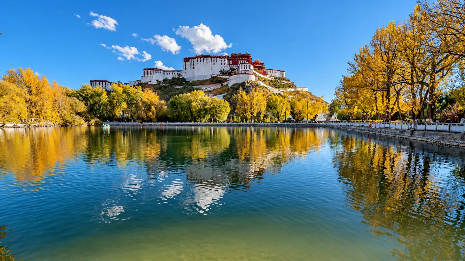 Toàn cảnh Lhasa mùa thu với cây lá vàng ở tiền cảnh và Cung điện Potala phía xa