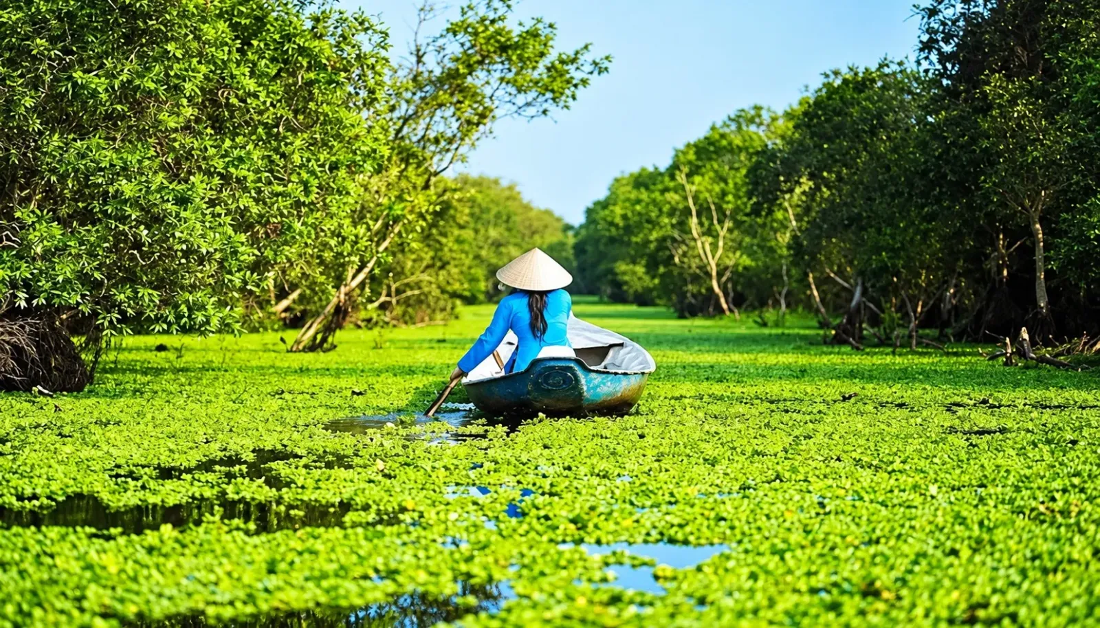 rung-tram-tra-su-mau-xanh-binh-yen-giua-mien-tay-song-nuoc
