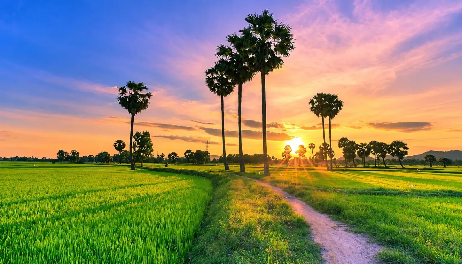 tour-chau-doc-hanh-trinh-kham-pha-vung-dat-linh-thieng-mien-tay