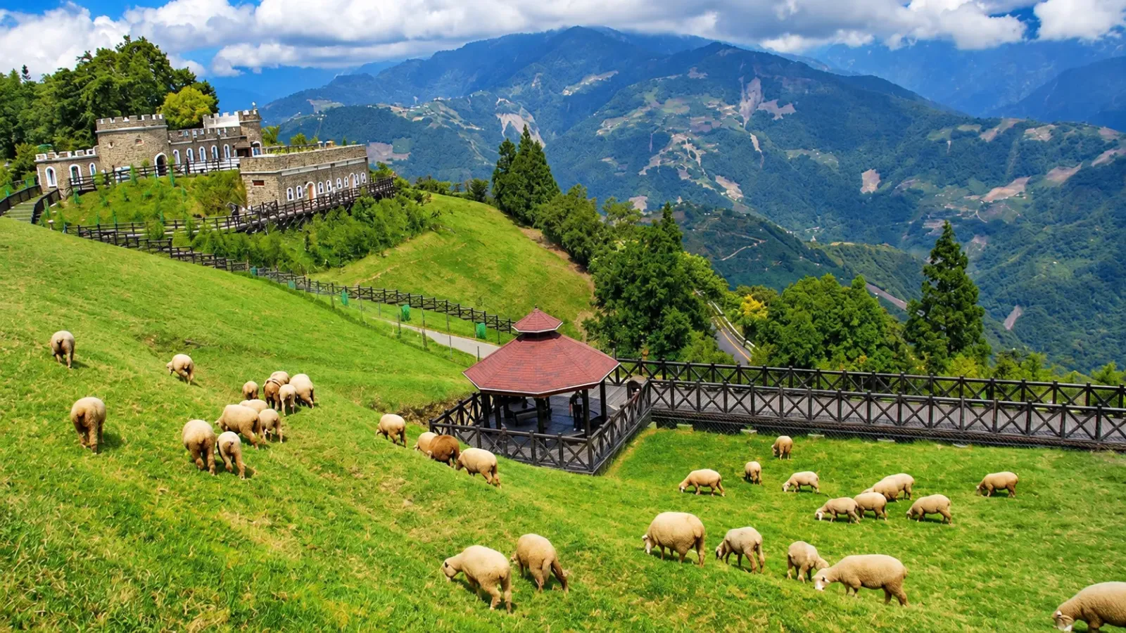 Đồng cỏ xanh và đàn cừu tại Cingjing Farm ở Nam Đầu Đài Loan