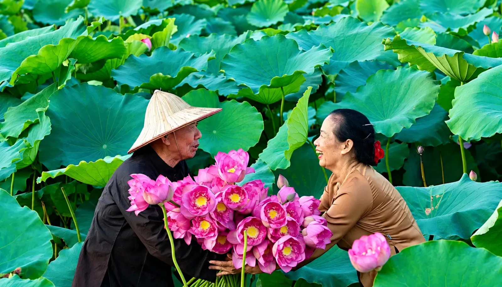 mua-sen-dong-thap-sac-hong-giua-mien-song-nuoc