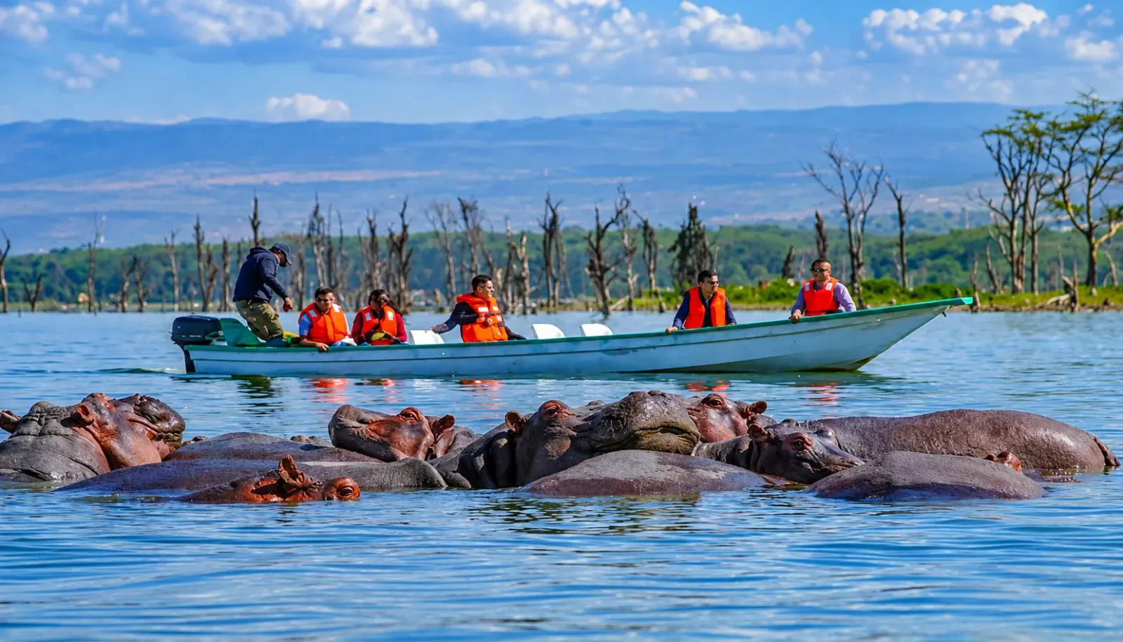 lake-naivasha