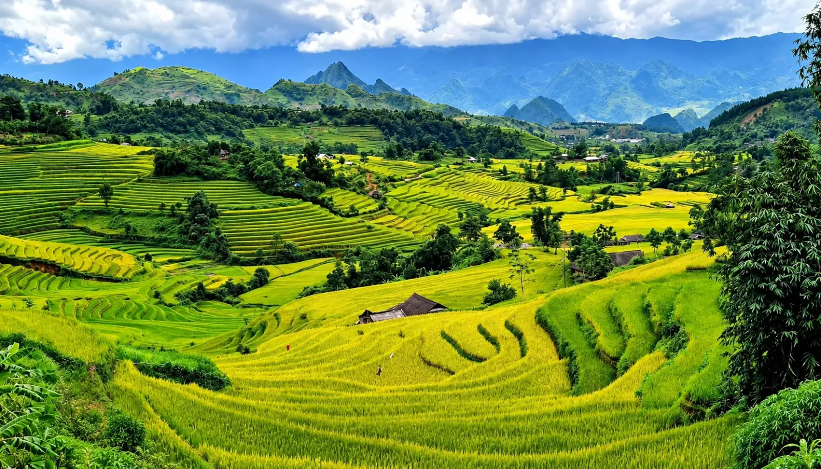 di-lai-chau-tu-ha-noi-va-tp-hcm-goi-y-cach-di-chuyen