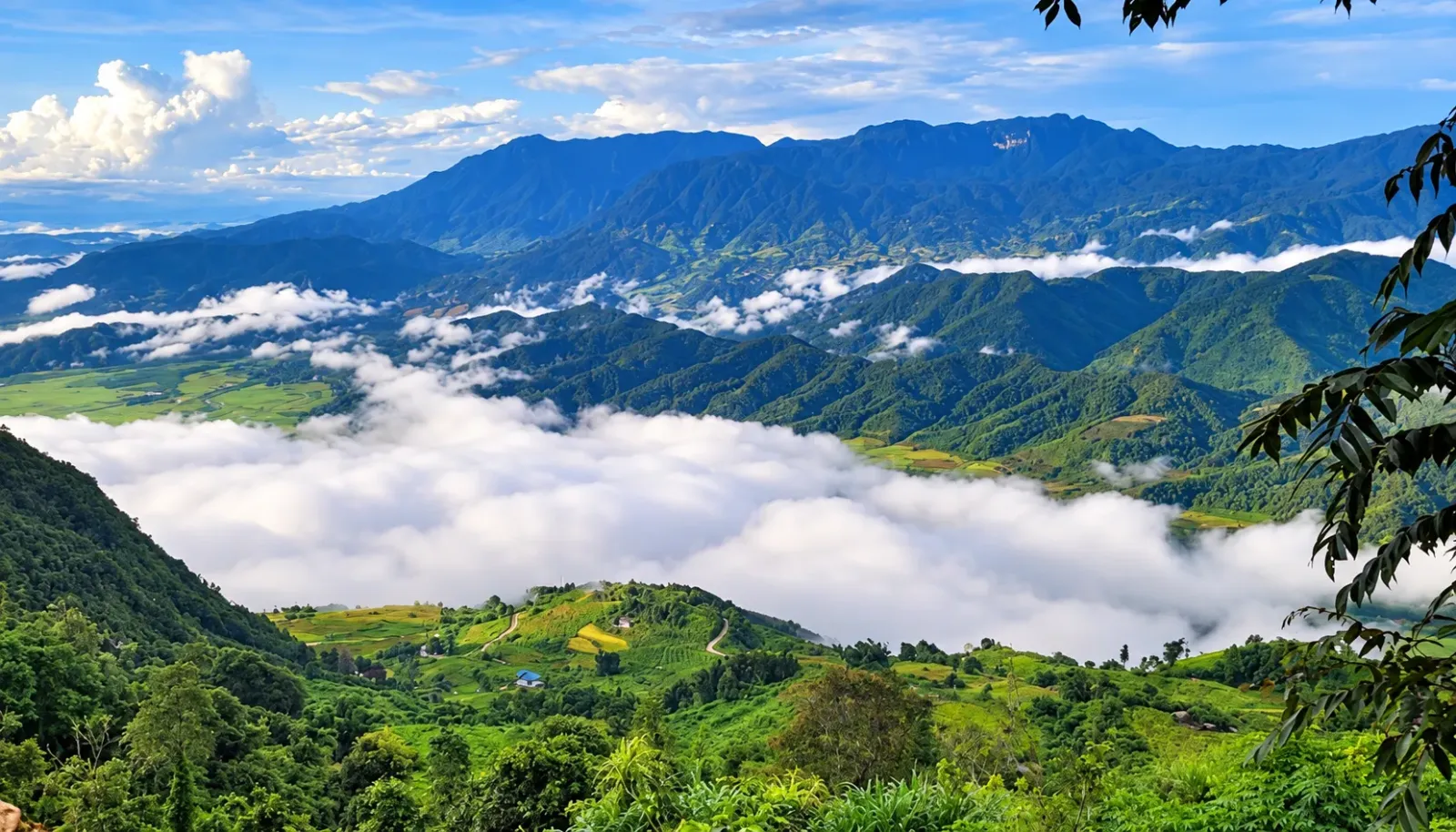 si-thau-chai-ban-lang-yen-binh-tren-tuyen-ta-leng