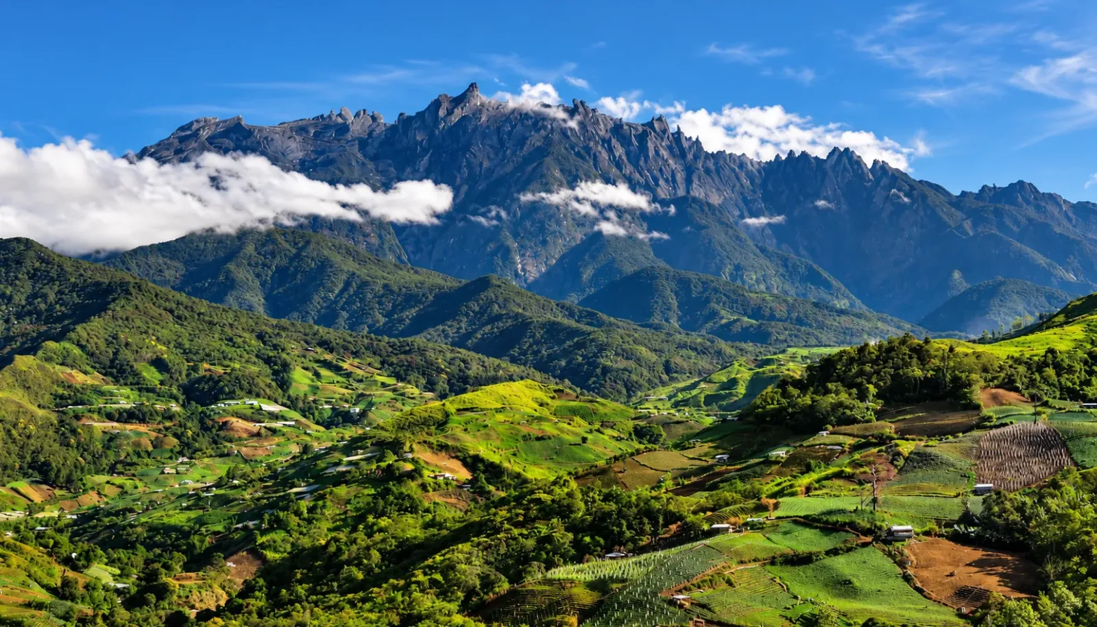 kota-kinabalu-thanh-pho-bien-tho-mong-tren-dao-borneo