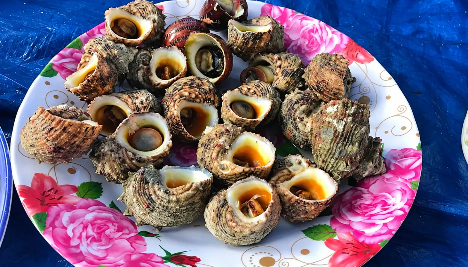 oc-mat-trang-dac-san-bien-hap-dan-cua-nam-du