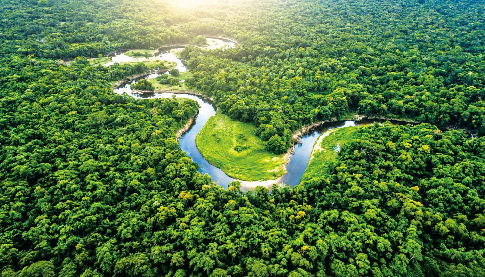 rung-amazon-kham-pha-thien-nhien-hoang-da-nam-my