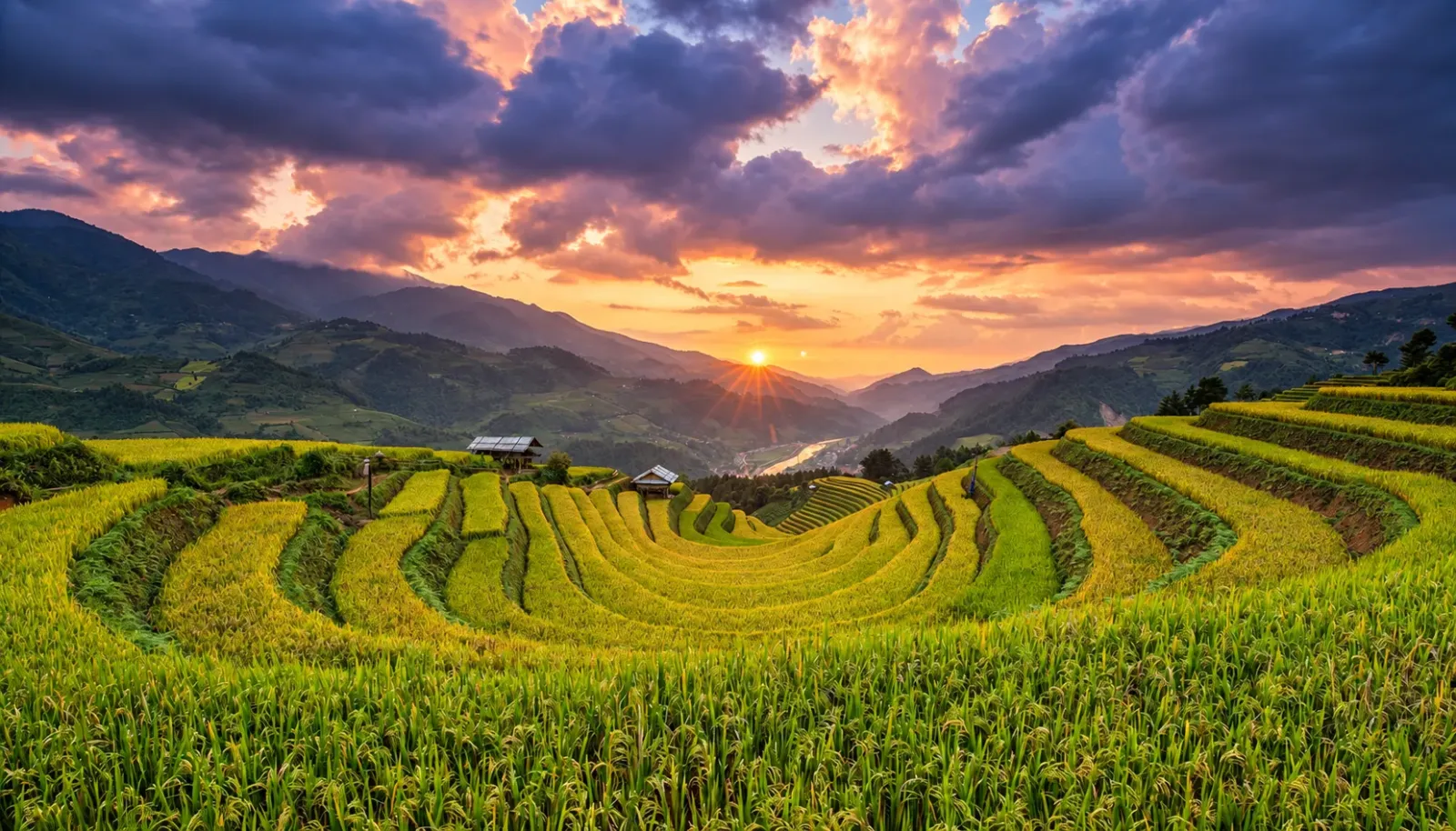 doi-mong-ngua-tai-mu-cang-chai-yen-bai-trai-dai-giua-nui-rung