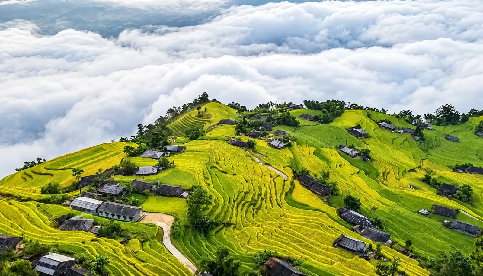 toan-canh-vung-tay-bac-voi-nui-rung-hung-vi-va-nhung-thung-lung-xanh-muot