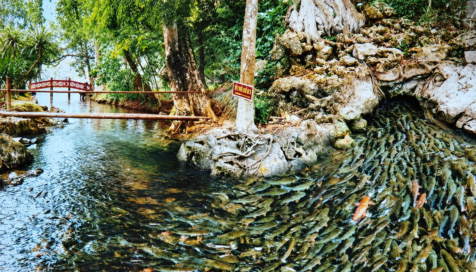 suoi-ca-than-cam-luong-diem-du-lich-noi-tieng-o-thanh-hoa