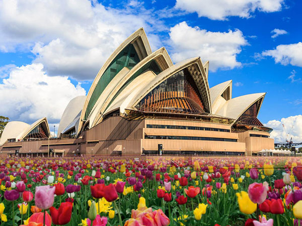 Bạn sẽ mất bao nhiêu cho chi phí du lịch bụi Úc?