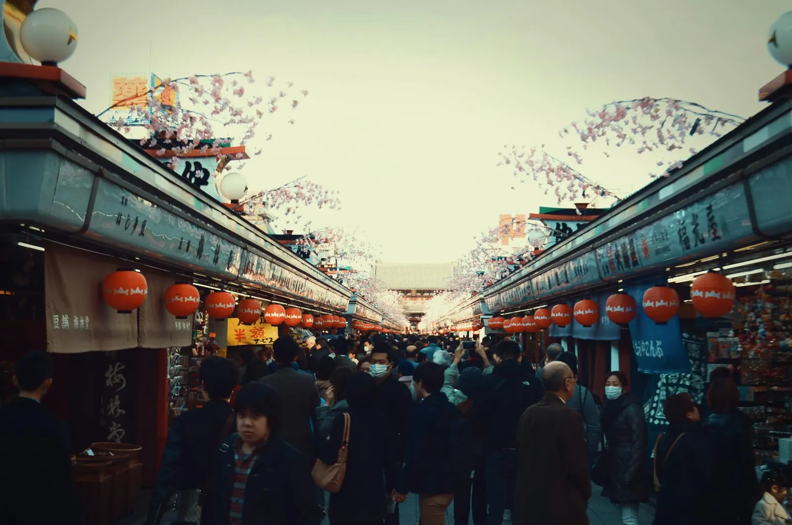 Du-Lịch-Tokyo-2026