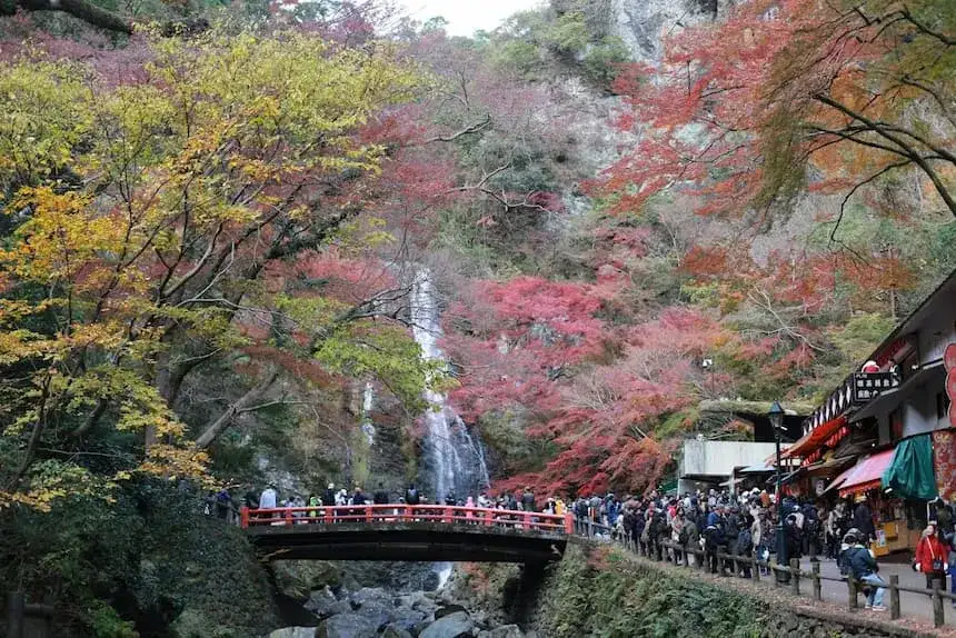 Công-Viên-Minoo