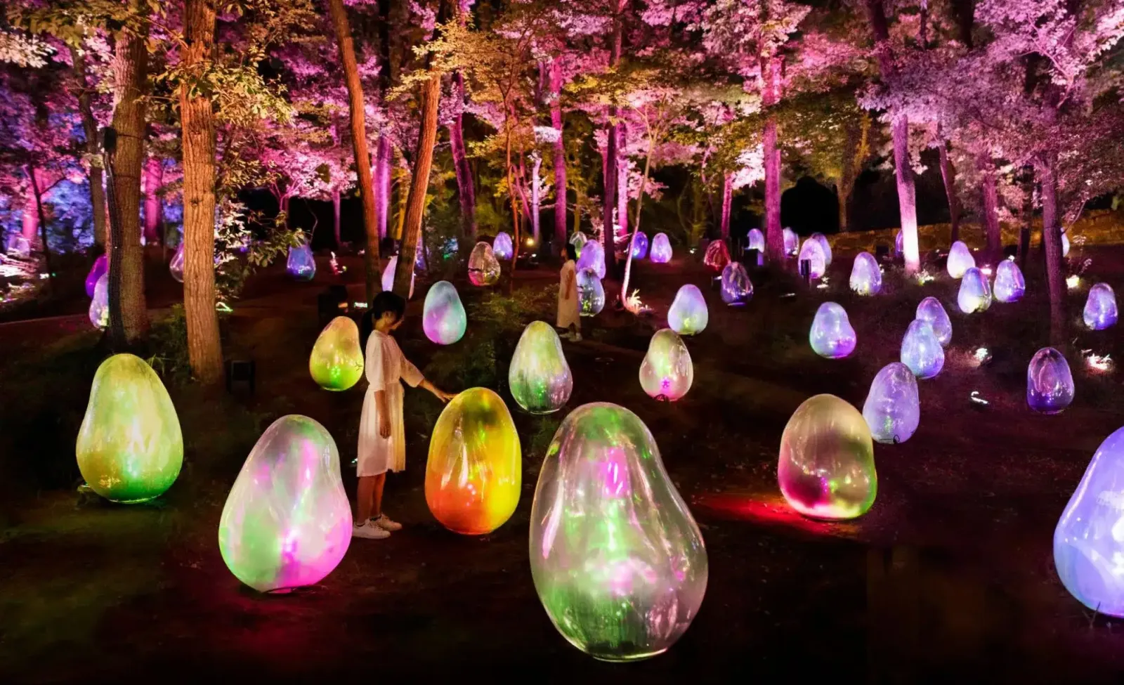 Vườn-Bách-Thảo-teamLab