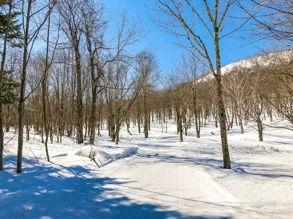 tuyet-trang-Hokkaido